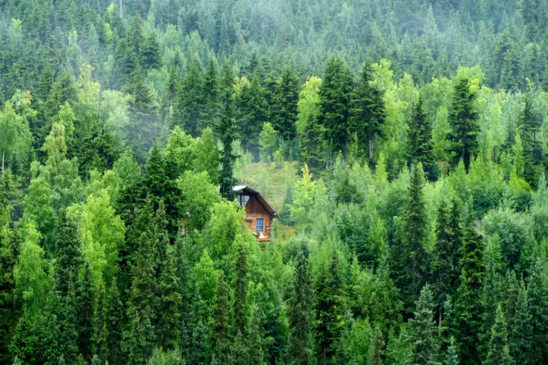Vyzkoušejte trendy ubytování v&nbsp;korunách stromů – Tree house